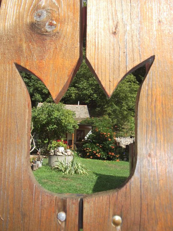 Tulipános Vendégház Obanya Esterno foto