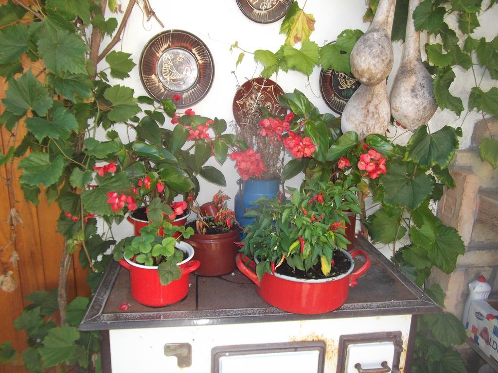 Tulipános Vendégház Obanya Esterno foto