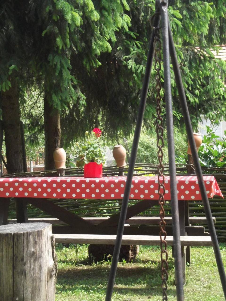 Tulipános Vendégház Obanya Esterno foto